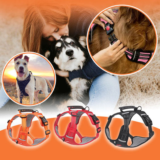 Harnais anti traction chien : Guide complet pour maîtriser les promenades