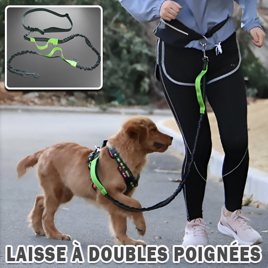 Une personne fait du jogging avec un golden retriever sur une LaisseSportive™ | Laisse mains libres, une laisse noire et verte à double poignée attachée à leur taille. L'encart montre la laisse en gros plan. Texte en français : "Laisse à doubles poignées.