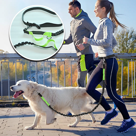 La Laisse Mains Libres pour Chien : Votre Allié pour des Promenades Sans Soucis