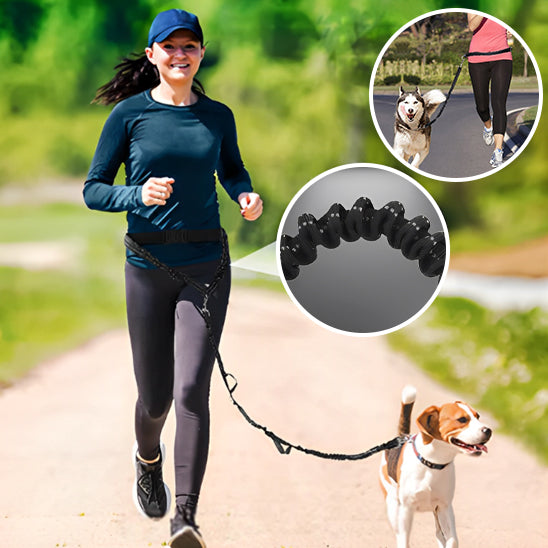 La Laisse Mains Libres pour Chien : Votre Allié pour des Promenades Sans Soucis