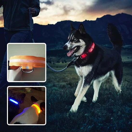 Un chien noir et blanc portant le LumiSécur™ Collier lumineux pour chien (orange) est promené au crépuscule. Les encarts montrent un gros plan du collier et un autre chien portant une version LumiSécur™ jaune luminescente à l'intérieur.