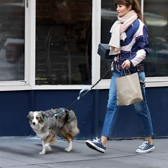 Une femme utilise La Laisse Mains Libres pour Chien, promenant son chien bleu merle les mains libres sur un trottoir de la ville, tout en portant un sac en papier brun, une veste colorée, une écharpe et un jean.