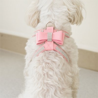 Un petit chien blanc pelucheux est assis à l'intérieur, face à la caméra, et porte le PetitBijou Harnais petit chien - un harnais rose orné de strass et d'un grand nœud rose.