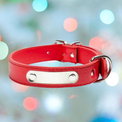 LeatherDogCollar™ - Rouge