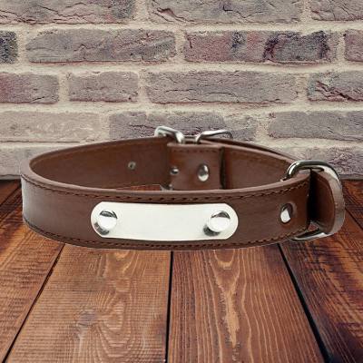 LeatherDogCollar™ - Marron