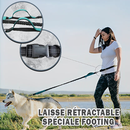 La Laisse Mains Libres pour Chien : Votre Allié pour des Promenades Sans Soucis