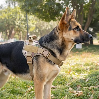 Harnais chien | Confort tactique - Pattes Urbaines