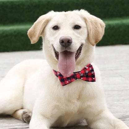 Chien clair assis portant un collier chien avec nœud papillon rouge à motif hivernal.