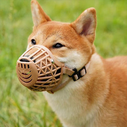 Chien Shiba Inu portant une muselière pour chien beige avec sangle ajustable en extérieur