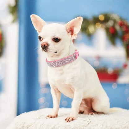 Collier chien rose strass avec fermour boucle ajustable