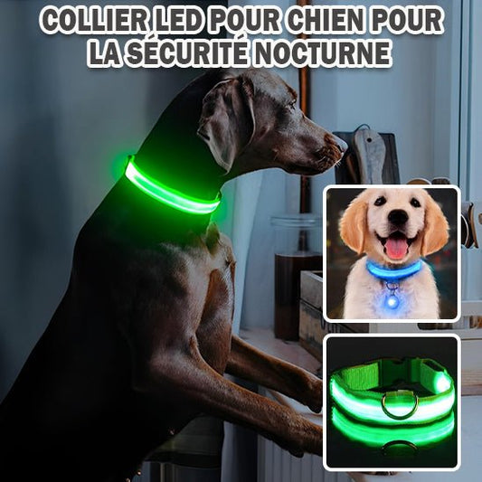 Collier lumineux pour chien | LumiSécur™ - Pattes Urbaines