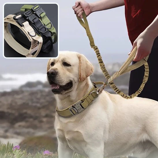 Une personne tient une laisse de couleur havane attachée à un Labrador jaune portant le Collier Chien Robuste à Poignée | Defender - Contrôle Total, Chiens Actifs. L'encart présente trois autres colliers : beige, noir et vert.
