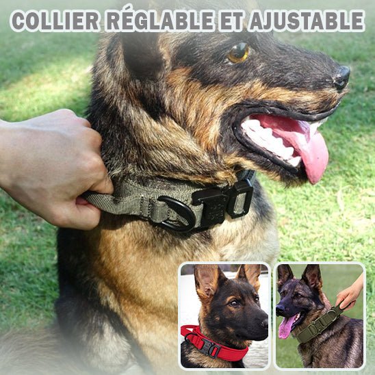 Une personne ajuste un Collier Chien Robuste à Poignée | Defender - Contrôle Total, Chiens Actifs vert sur un Berger Allemand heureux assis dans l'herbe. Des images plus petites montrent le chien en versions rouge et verte. Texte : COLLIER RÉGLABLE ET AJUSTABLE.