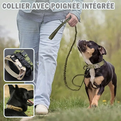 Une personne promène un chien portant le Collier Chien Robuste à Poignée | Defender - Contrôle Total, Chiens Actifs. Deux encarts montrent des gros plans du collier durable dans d'autres couleurs. Texte : COLLIER AVEC POIGNÉE INTÉGRÉE.