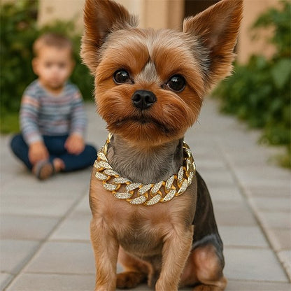 Collier pour chien doré style chaîne cubaine porté par un Yorkshire Terrier