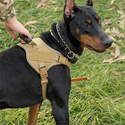 Harnais chien | Confort tactique - Pattes Urbaines