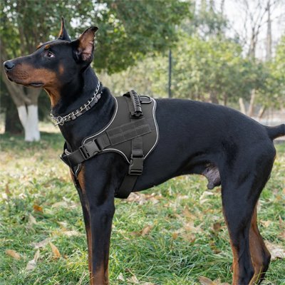 Harnais chien | Confort tactique - Pattes Urbaines