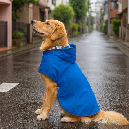    Golden Retriever assis sur une rue mouillée portant un manteau chien bleu avec capuche par temps de pluie.