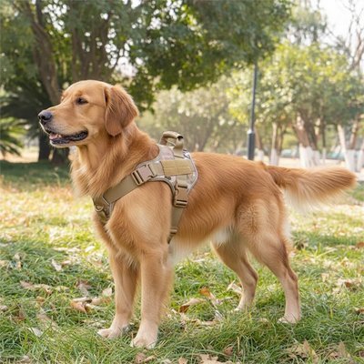 Harnais chien | Confort tactique - Pattes Urbaines