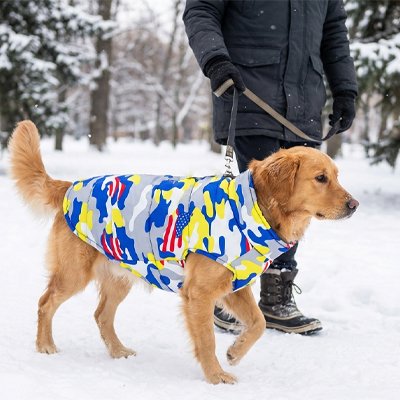 Golden retriever portant un manteau chien camouflage multicolore en promenade dans la neige.
