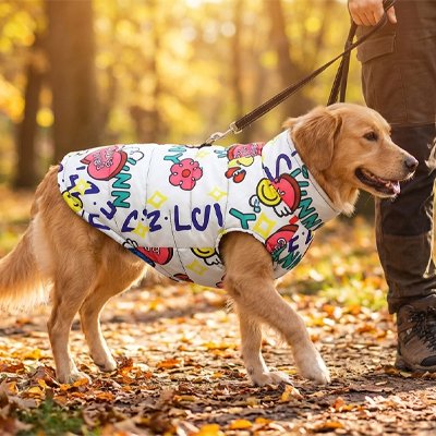 Golden retriever portant un manteau chien coloré à motifs cartoon sur un chemin couvert de feuilles d’automne.