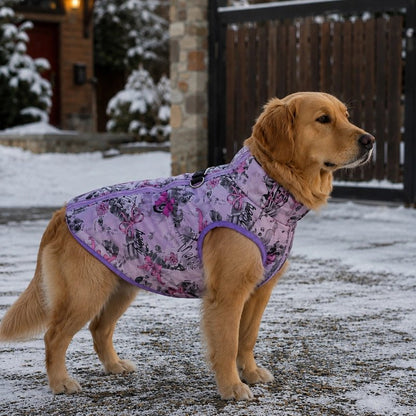 Golden retriever portant un manteau pour chien violet à motifs noirs et roses dans un décor enneigé.