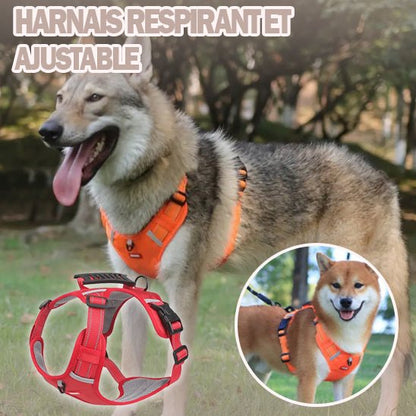 Un chien porte le ZenWalk™ Harnais Anti Traction Chien à l'extérieur. En médaillon : un autre chien dans un harnais similaire, plus un gros plan de la version rouge. Le texte en français indique "HARNAIS RESPIRANT ET AJUSTABLE.