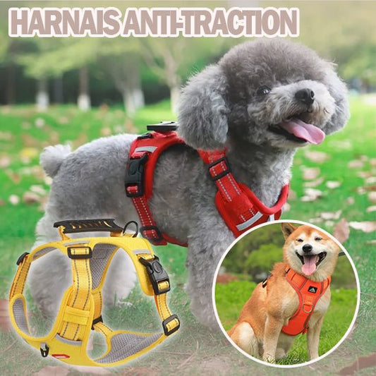 HARNAIS ANTI TRACTION CHIEN ZENWALK™ - Pattes Urbaines