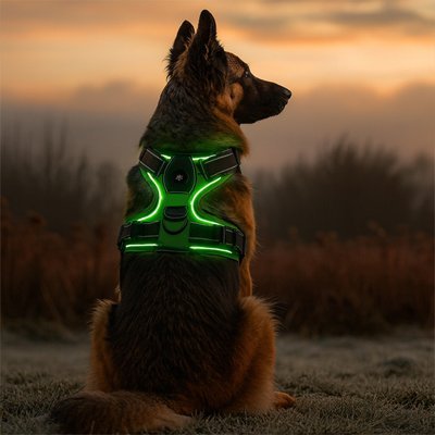 Harnais chien | ReflectLED - Pattes Urbaines