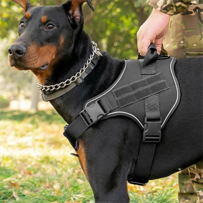 Harnais chien | Confort tactique - Pattes Urbaines
