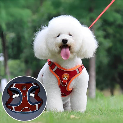 Un chien blanc duveteux porte le Harnais Petit Chien Doux | Câlinou - Rembourré & Ultra Confortable (rouge) alors qu'il se tient sur de l'herbe verte avec une laisse assortie. Un encart présente un gros plan du harnais sur fond d'arbres et de verdure.