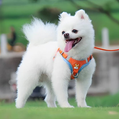 Un chien blanc tout doux se tient sur l'herbe verte, heureux de porter le Harnais Petit Chien Doux | Câlinou orange avec laisse 1.5 m-rembourré et ultra confortable. L'arrière-plan est flou avec des touches de verdure.