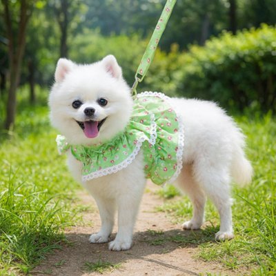 Harnais petit Chien | Cutepaws - Pattes Urbaines