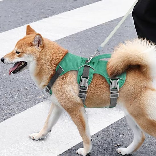 Harnais pour chien | TriSecure - Pattes Urbaines