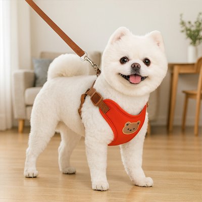 Harnais pour petit chien orange porté par un chien blanc debout dans une maison