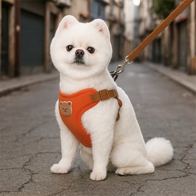 Harnais pour petit chien orange porté par un chien blanc assis dans une ruelle pavée