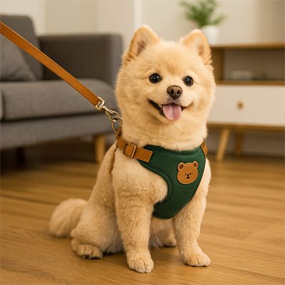 Harnais pour petit chien vert porté par un chien beige assis dans un salon