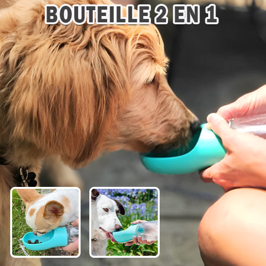 Bouteille d'eau et nourriture pour chien | HydroSnack™