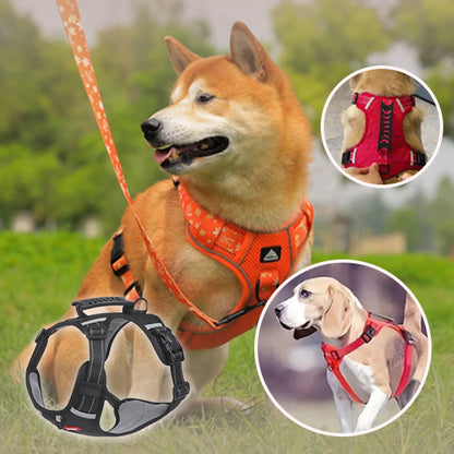Un Shiba Inu porte un HARNAIS ANTI TRACTION CHIEN ZENWALK™ orange alors qu'il est assis dans l'herbe avec une laisse. Des encarts montrent un harnais rouge sur un Beagle et un gros plan du dos du harnais, ainsi qu'une version noire dans le coin. Des arbres sont visibles à l'arrière-plan.