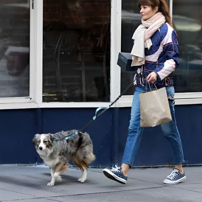 La Laisse Mains Libres pour Chien : Votre Allié pour des Promenades Sans Soucis