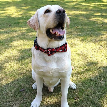Labrador assis sur la pelouse portant un collier chien rouge avec nœud papillon décoratif.