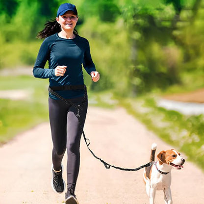 Laisse canicross avec ceinture noire pour running avec Beagle