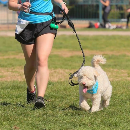 Laisse canicross élastique avec ceinture pour jogging avec chien