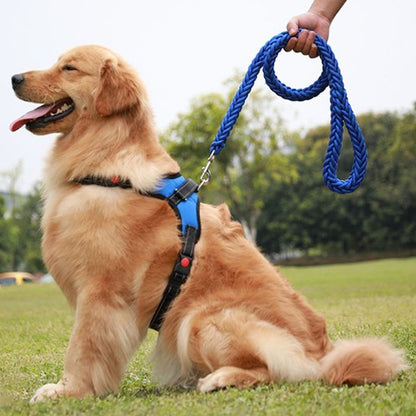 Laisse chien bleue tressée résistante avec harnais pour grand chien assis