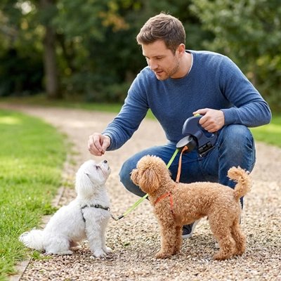 Laisse double pour chien rétractable avec homme accroupi près d'un Bichon et Cockapoo