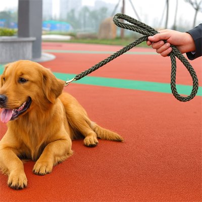 Laisse pour chien corde tressée verte tenue en main avec Golden Retriever 