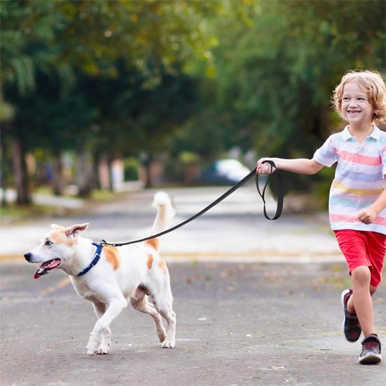 Laisse pour chien noire tenue par un enfant lors d'une promenade