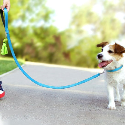 Laisse pour chien plate bleue avec Jack Russell Terrier en promenade