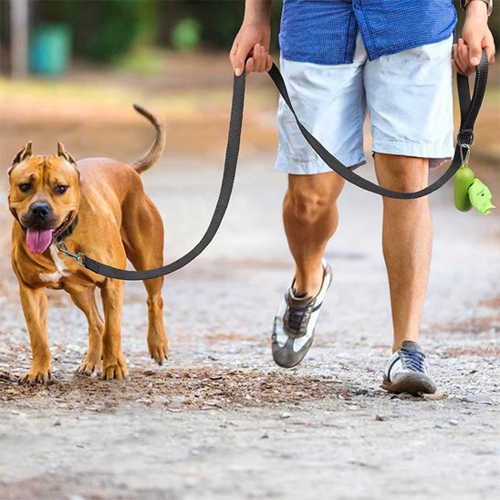 Laisse pour chien plate noire avec distributeur de sacs pour American Staffordshire