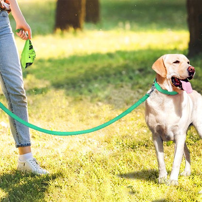 Laisse pour chien verte avec distributeur de sacs pour Labrador dans un parc